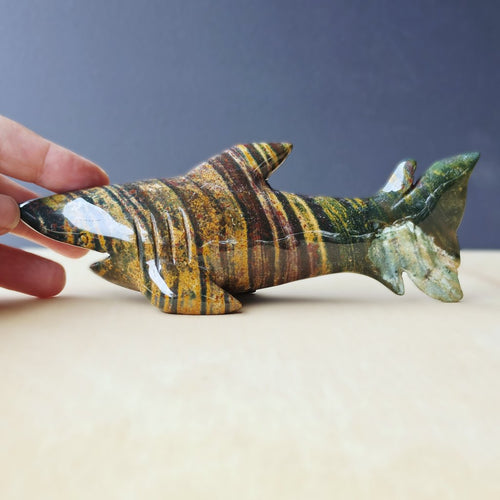 Ocean Jasper Shark 392gms