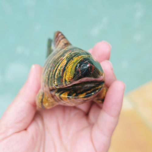 Ocean Jasper Shark 392gms