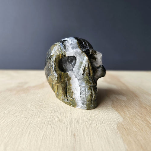 Ocean Jasper Skull Carving | Tranquil Guardian of The Deep