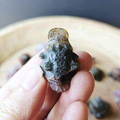 Ocean jasper Money Toad | Calming Ocean Of Abundance