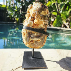 Orbicular Agate with Orange Druzy Chalcedony | Specimen