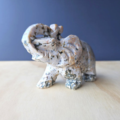 Orbicular Ocean Jasper Elephant Carving | 563gm