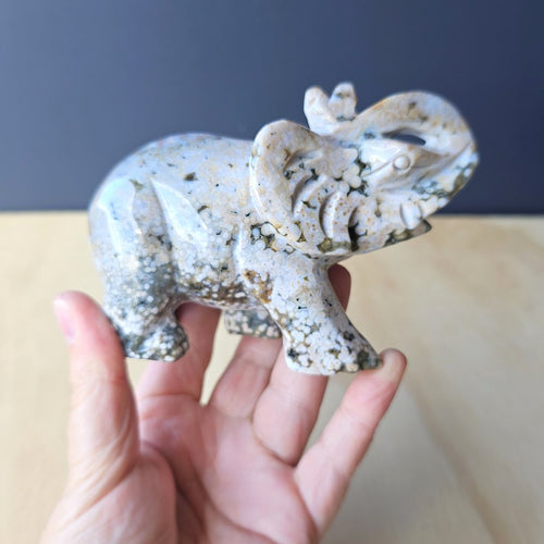 Orbicular Ocean Jasper Elephant Carving | 563gm