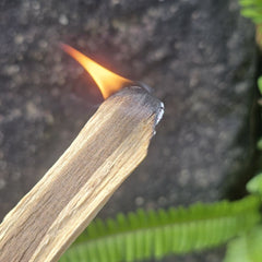 Palo Santo Sticks | Clear Your Space