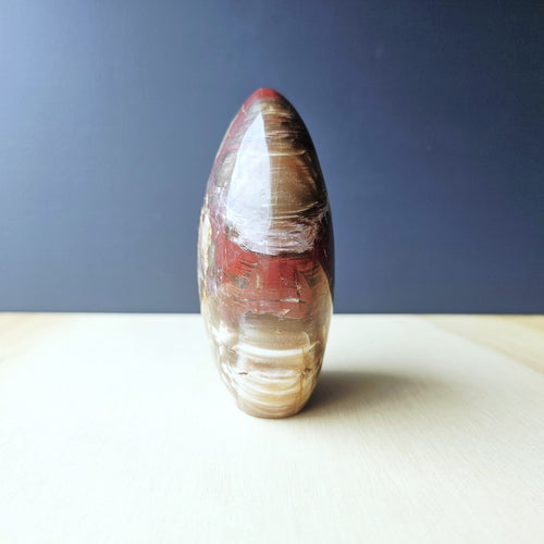 Petrified Wood Dome| Ancient Core