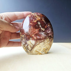 Petrified Wood Dome | Deep Earth Remembrance