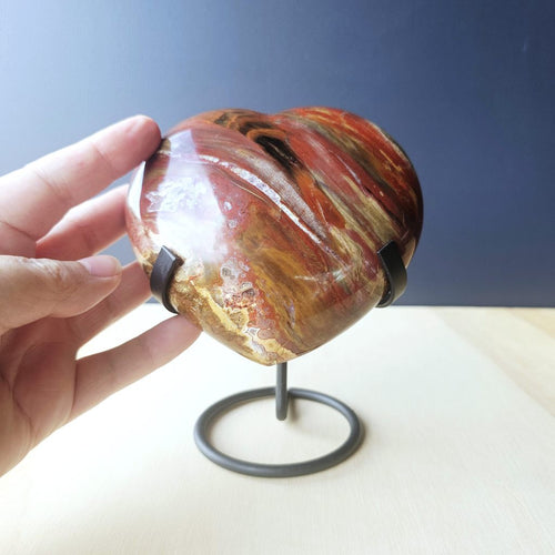 Petrified Wood Heart | The Grounded Heart