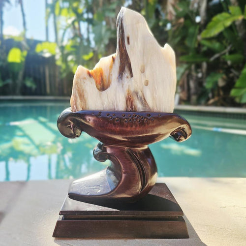 Petrified Wood Specimen | Custom Stand 1.3kg