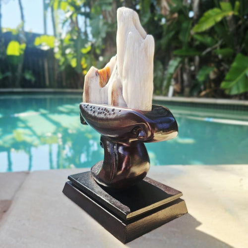 Petrified Wood Specimen | Custom Stand 1.3kg