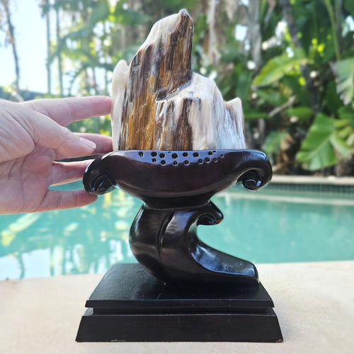 Petrified Wood Specimen | Custom Stand 1.3kg