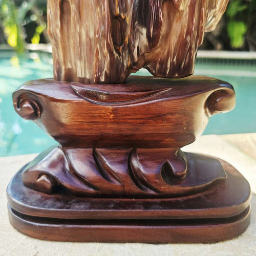 Petrified Wood Specimen | Custom Stand 1.6kg