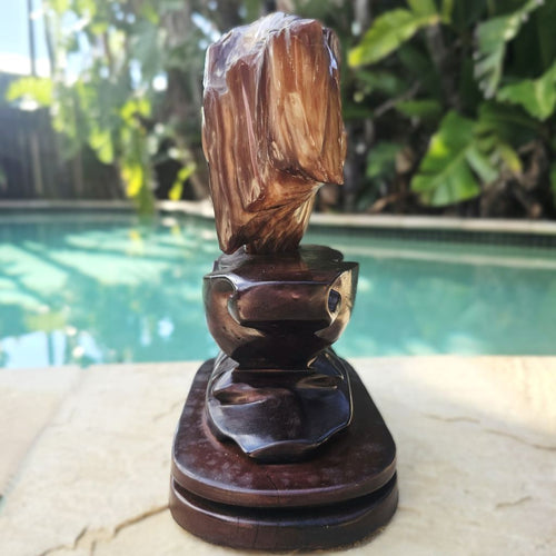 Petrified Wood Specimen | Custom Stand 1.6kg