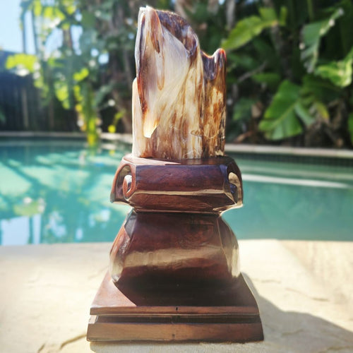 Petrified Wood Specimen | Custom Stand 2kg