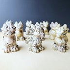 Picture Jasper Baby Dragons | Gentle Guardians
