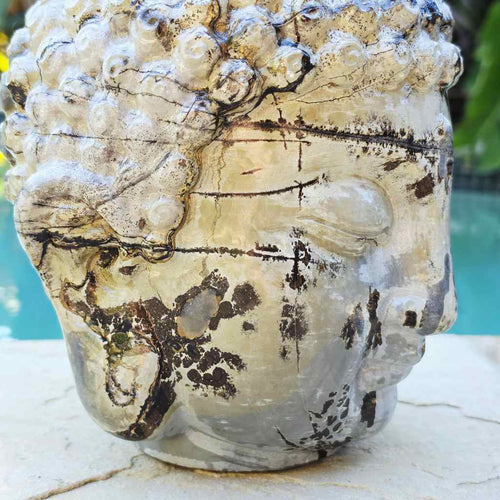 Picture Jasper Buddha Head | 10kg