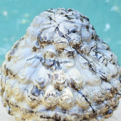 Picture Jasper Buddha Head | 10kg