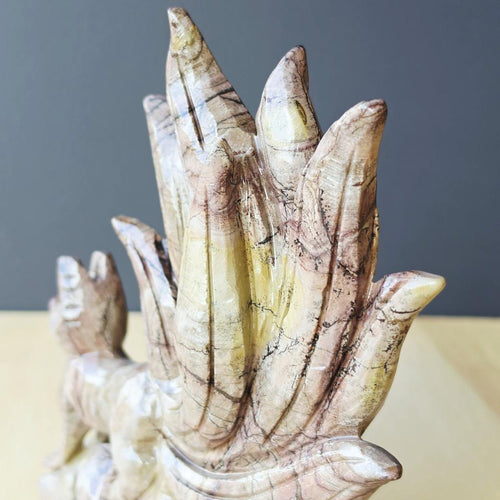Picture Jasper Nine Tail Fox | The Ancient Nine