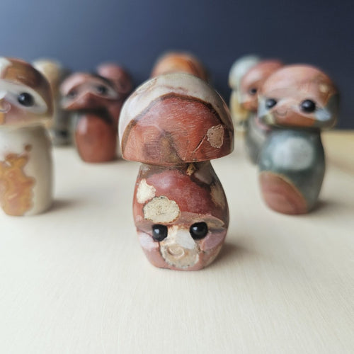 Polychrome Jasper Mushrooms | Obsidian Gaze Guardians