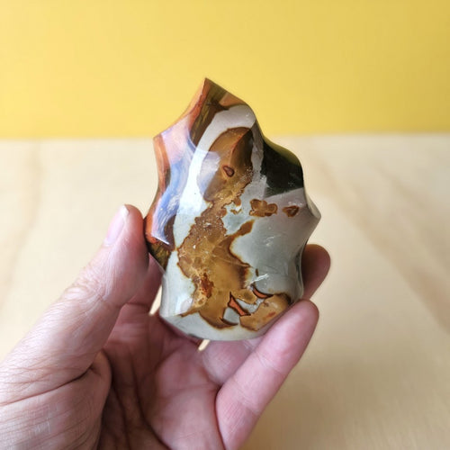 Polychrome Jasper | Sacred Flame Of Gaia 242gms