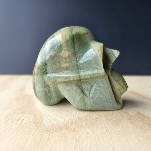 Polychrome Jasper Skull | Primordial Guardian