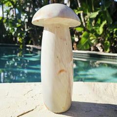 Polychrome Jasper Mushroom | Super Size 3kgs