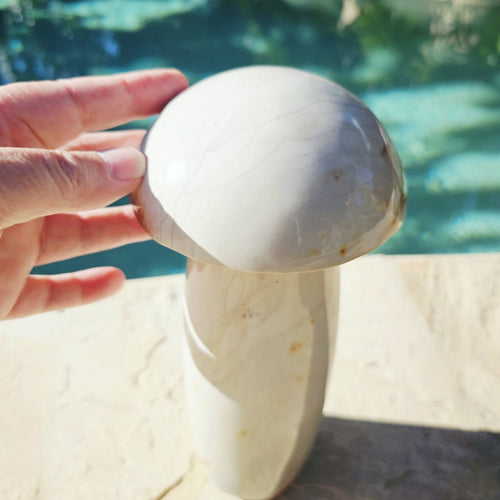 Polychrome Jasper Mushroom | Super Size 3kgs