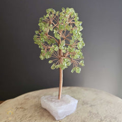 Prehnite Crystal Tree | Illumination