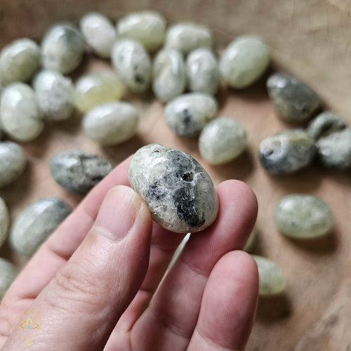 Prehnite & Epidote Tumbled Stones