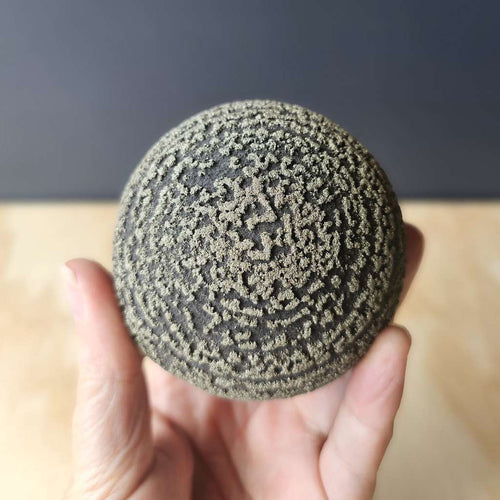 Pyrite Concretion Ball on Shale Matrix | Specimen 583gms