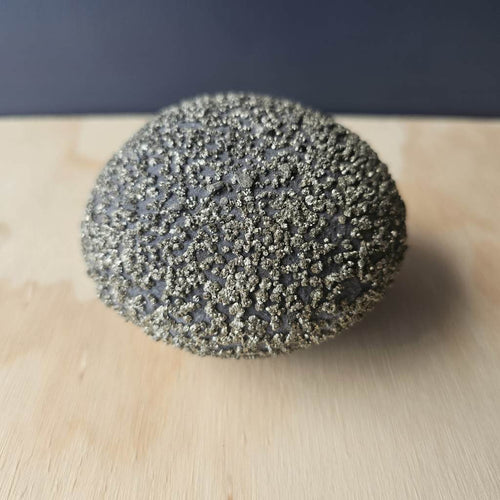 Pyrite Concretion Ball on Shale Matrix | Specimen 813gms