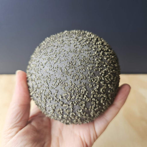Pyrite Concretion Ball on Shale Matrix | Specimen 813gms