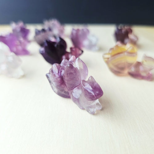 Rainbow Fluorite 9 Tail Foxes| The 9 Tails Collective