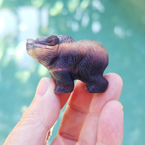 Rainbow Fluorite Bear Carvings | Stand Your Ground