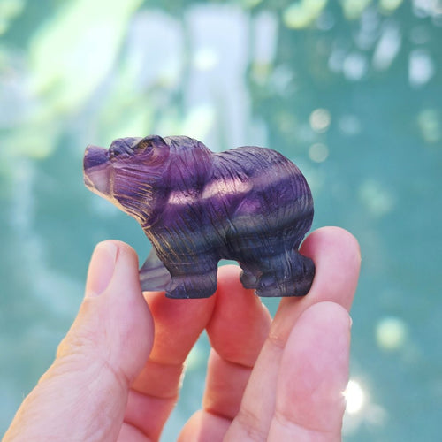 Rainbow Fluorite Bear Carvings | Stand Your Ground