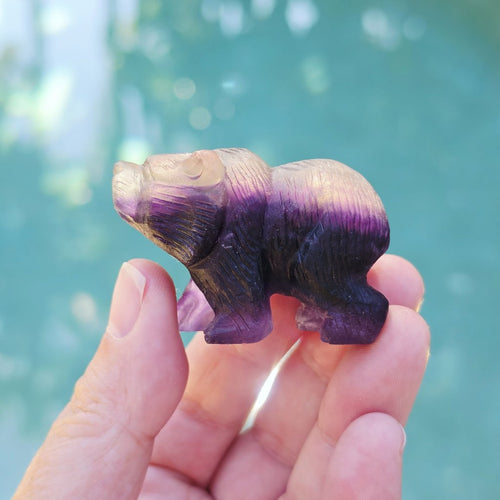 Rainbow Fluorite Bear Carvings | Stand Your Ground