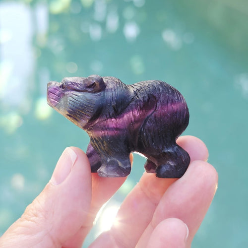 Rainbow Fluorite Bear Carvings | Stand Your Ground
