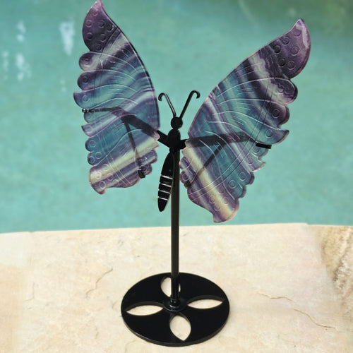 Rainbow Fluorite Butterfly Wings On Stand | Wings Of Change