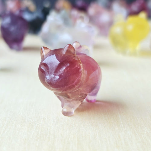 Rainbow Fluorite Cats | Rainbow Mystics