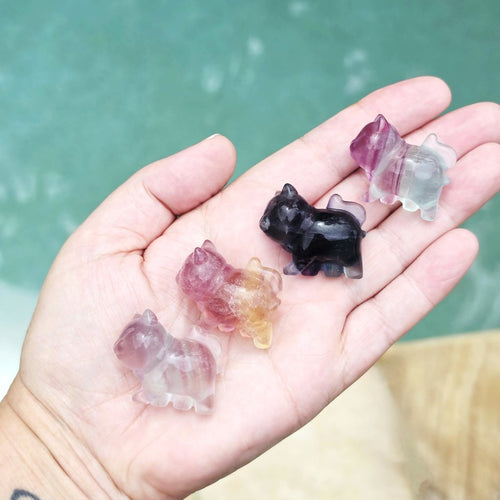 Rainbow Fluorite Cats | Rainbow Mystics