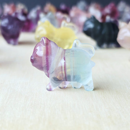 Rainbow Fluorite Cats | Rainbow Mystics