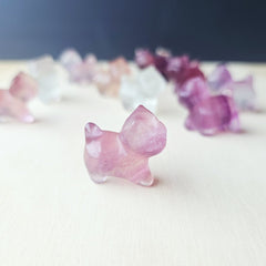 Rainbow Fluorite 9 Tail Foxes | The 9 Tails Collective