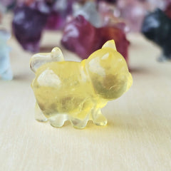 Rainbow Fluorite Cats | Rainbow Mystics