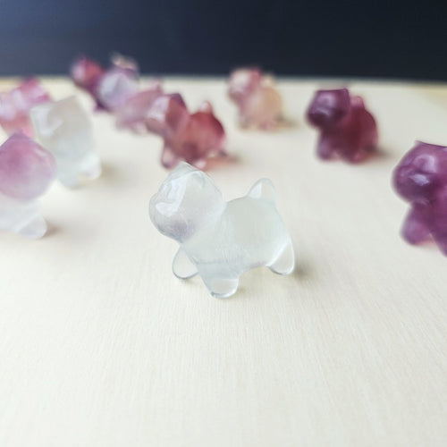 Rainbow Fluorite Cats| Rainbow Mystics