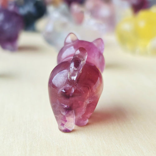 Rainbow Fluorite Cats | Rainbow Mystics