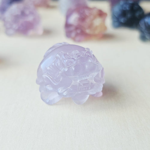 Rainbow Fluorite Dragon Turtles | Banded Light Guardians