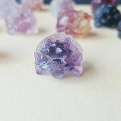 Rainbow Fluorite Dragon Turtles | Banded Light Guardians