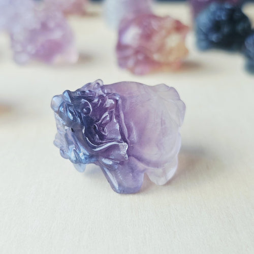 Rainbow Fluorite Dragon Turtles | Banded Light Guardians