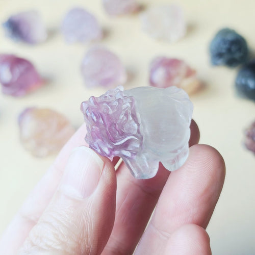 Rainbow Fluorite Dragon Turtles | Banded Light Guardians