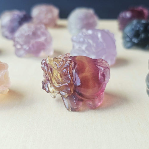 Rainbow Fluorite Dragon Turtles | Banded Light Guardians