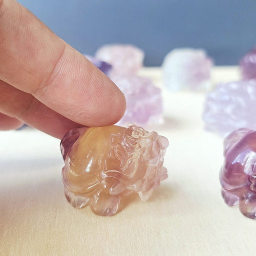Rainbow Fluorite Dragon Turtles | Banded Light Guardians